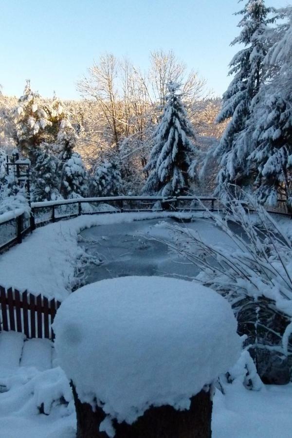 Agroturystyka U Psotki Кузьмина Екстер'єр фото